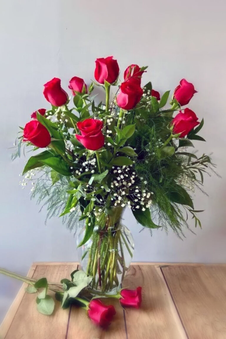 Dozen Red Roses in a vase with baby's breath